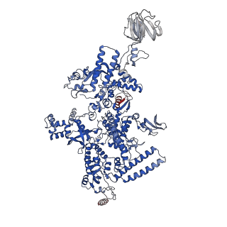 34996_8hsg_J_v1-0
Thermus thermophilus RNA polymerase elongation complex