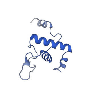 34996_8hsg_K_v1-0
Thermus thermophilus RNA polymerase elongation complex