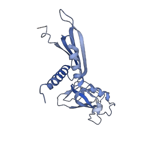 34997_8hsh_H_v1-0
Thermus thermophilus RNA polymerase coreenzyme