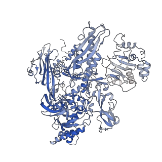 34997_8hsh_I_v1-0
Thermus thermophilus RNA polymerase coreenzyme