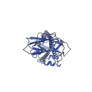 34998_8hsi_A_v1-0
Cryo-EM structure of human TMEM87A, PE-bound