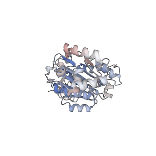 34999_8hsj_A_v1-0
Thermus thermophilus transcription termination factor Rho bound with ADP-BeF3