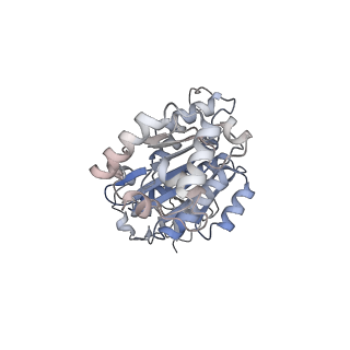 34999_8hsj_B_v1-0
Thermus thermophilus transcription termination factor Rho bound with ADP-BeF3
