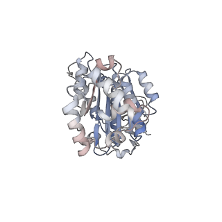 34999_8hsj_C_v1-0
Thermus thermophilus transcription termination factor Rho bound with ADP-BeF3