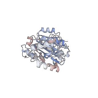 34999_8hsj_D_v1-0
Thermus thermophilus transcription termination factor Rho bound with ADP-BeF3