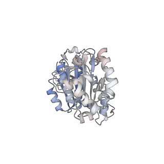 34999_8hsj_F_v1-0
Thermus thermophilus transcription termination factor Rho bound with ADP-BeF3