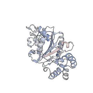 35004_8hsr_C_v1-0
Thermus thermophilus Rho-engaged RNAP elongation complex