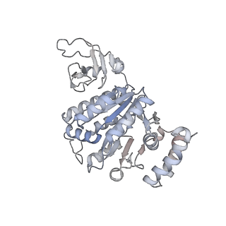 35004_8hsr_E_v1-0
Thermus thermophilus Rho-engaged RNAP elongation complex