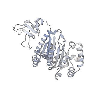 35004_8hsr_F_v1-0
Thermus thermophilus Rho-engaged RNAP elongation complex
