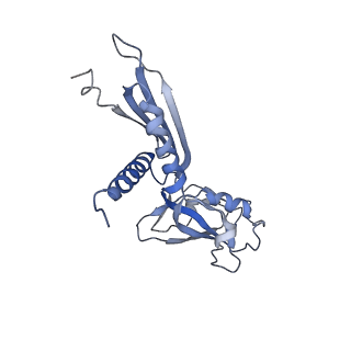 35004_8hsr_H_v1-0
Thermus thermophilus Rho-engaged RNAP elongation complex