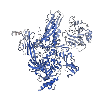 35004_8hsr_I_v1-0
Thermus thermophilus Rho-engaged RNAP elongation complex