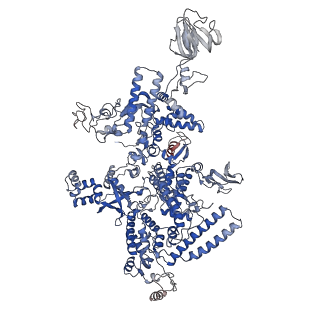 35004_8hsr_J_v1-0
Thermus thermophilus Rho-engaged RNAP elongation complex