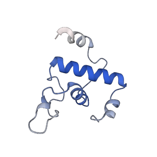 35004_8hsr_K_v1-0
Thermus thermophilus Rho-engaged RNAP elongation complex