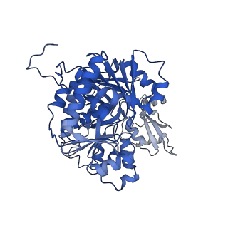 35008_8hsy_A_v1-0
Acyl-ACP Synthetase structure