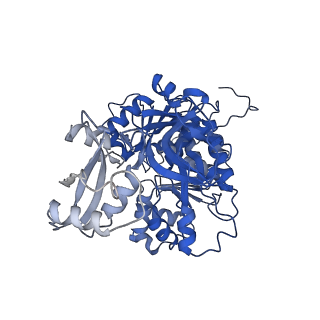 35008_8hsy_B_v1-0
Acyl-ACP Synthetase structure