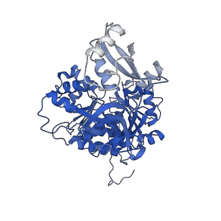 35008_8hsy_D_v1-0
Acyl-ACP Synthetase structure