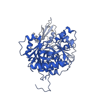 35008_8hsy_E_v1-0
Acyl-ACP Synthetase structure