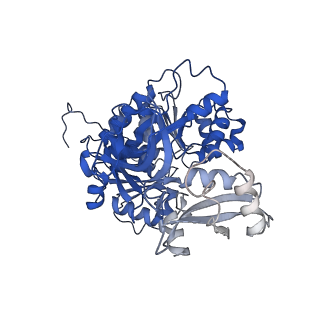 35008_8hsy_F_v1-0
Acyl-ACP Synthetase structure