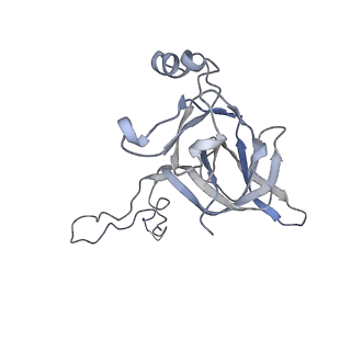 0270_6htq_D_v1-2
Stringent response control by a bifunctional RelA enzyme in the presence and absence of the ribosome