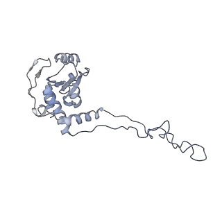 0270_6htq_E_v1-2
Stringent response control by a bifunctional RelA enzyme in the presence and absence of the ribosome