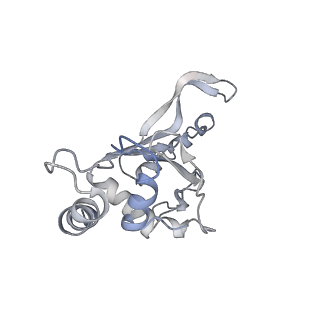 0270_6htq_F_v1-2
Stringent response control by a bifunctional RelA enzyme in the presence and absence of the ribosome