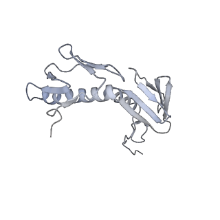 0270_6htq_G_v1-2
Stringent response control by a bifunctional RelA enzyme in the presence and absence of the ribosome