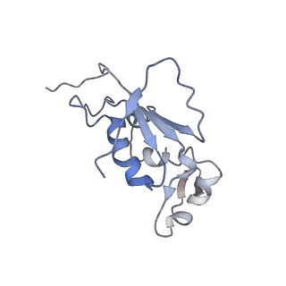 0270_6htq_J_v1-2
Stringent response control by a bifunctional RelA enzyme in the presence and absence of the ribosome