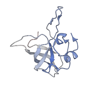 0270_6htq_K_v1-2
Stringent response control by a bifunctional RelA enzyme in the presence and absence of the ribosome