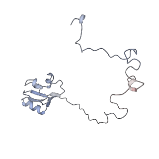 0270_6htq_L_v1-2
Stringent response control by a bifunctional RelA enzyme in the presence and absence of the ribosome