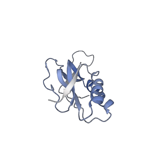 0270_6htq_M_v1-2
Stringent response control by a bifunctional RelA enzyme in the presence and absence of the ribosome