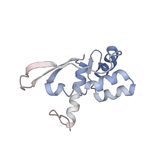 0270_6htq_N_v1-2
Stringent response control by a bifunctional RelA enzyme in the presence and absence of the ribosome