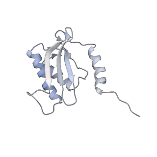 0270_6htq_O_v1-2
Stringent response control by a bifunctional RelA enzyme in the presence and absence of the ribosome