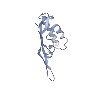 0270_6htq_S_v1-2
Stringent response control by a bifunctional RelA enzyme in the presence and absence of the ribosome