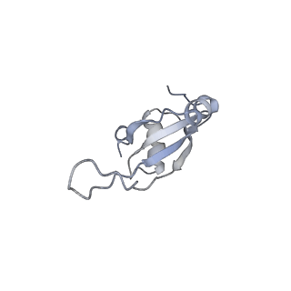 0270_6htq_T_v1-2
Stringent response control by a bifunctional RelA enzyme in the presence and absence of the ribosome