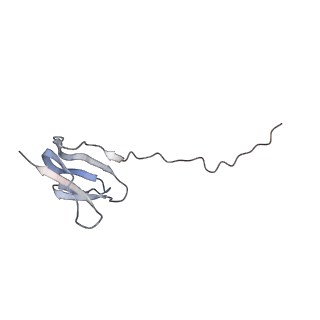 0270_6htq_V_v1-2
Stringent response control by a bifunctional RelA enzyme in the presence and absence of the ribosome