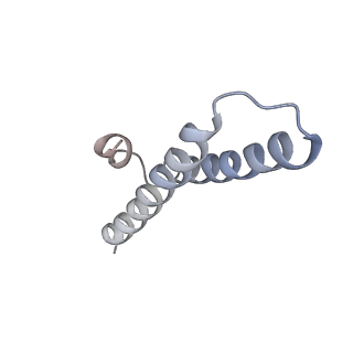 0270_6htq_X_v1-2
Stringent response control by a bifunctional RelA enzyme in the presence and absence of the ribosome