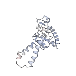 0270_6htq_b_v1-2
Stringent response control by a bifunctional RelA enzyme in the presence and absence of the ribosome