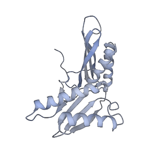 0270_6htq_c_v1-2
Stringent response control by a bifunctional RelA enzyme in the presence and absence of the ribosome