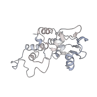 0270_6htq_d_v1-2
Stringent response control by a bifunctional RelA enzyme in the presence and absence of the ribosome
