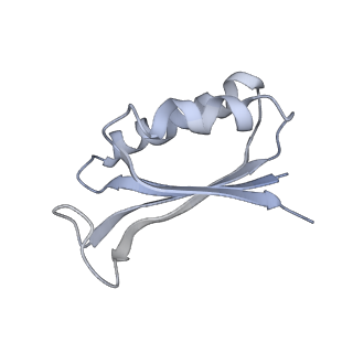 0270_6htq_f_v1-2
Stringent response control by a bifunctional RelA enzyme in the presence and absence of the ribosome