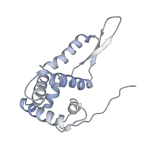0270_6htq_g_v1-2
Stringent response control by a bifunctional RelA enzyme in the presence and absence of the ribosome