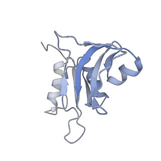 0270_6htq_h_v1-2
Stringent response control by a bifunctional RelA enzyme in the presence and absence of the ribosome