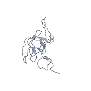 0270_6htq_l_v1-2
Stringent response control by a bifunctional RelA enzyme in the presence and absence of the ribosome