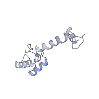 0270_6htq_m_v1-2
Stringent response control by a bifunctional RelA enzyme in the presence and absence of the ribosome