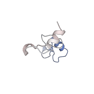 0270_6htq_n_v1-2
Stringent response control by a bifunctional RelA enzyme in the presence and absence of the ribosome