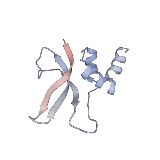 0270_6htq_p_v1-2
Stringent response control by a bifunctional RelA enzyme in the presence and absence of the ribosome