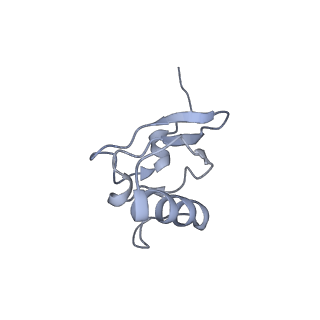 0270_6htq_s_v1-2
Stringent response control by a bifunctional RelA enzyme in the presence and absence of the ribosome