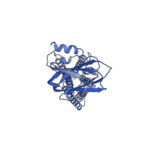 35017_8htt_B_v1-0
Cryo-EM structure of human TMEM87A, gluconate-bound