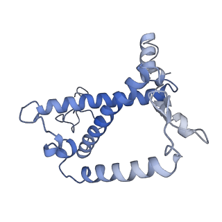 35018_8htu_1_v1-1
Cryo-EM structure of PpPSI-L