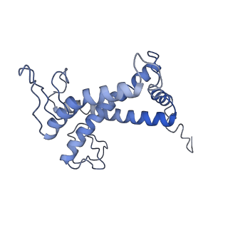 35018_8htu_2_v1-1
Cryo-EM structure of PpPSI-L
